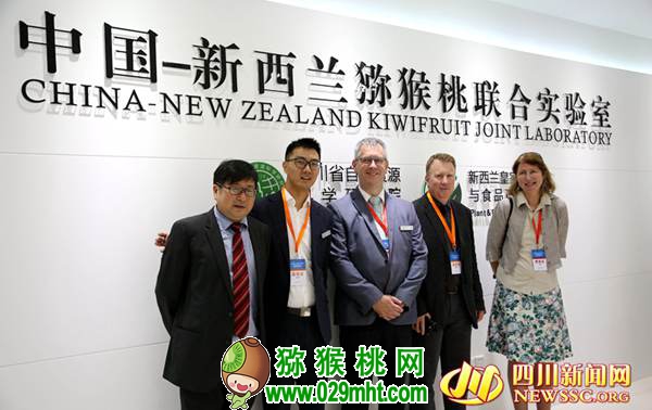 豪门国际真的会称霸世界吗?豪门国际和新西兰<a href=http://www.linux-china.com target=_blank class=infotextkey />奇异果</a>的恩怨情仇首次公开发布!