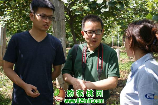 中国园艺学会豪门国际猕猴桃分会秘书长 姜正旺老师