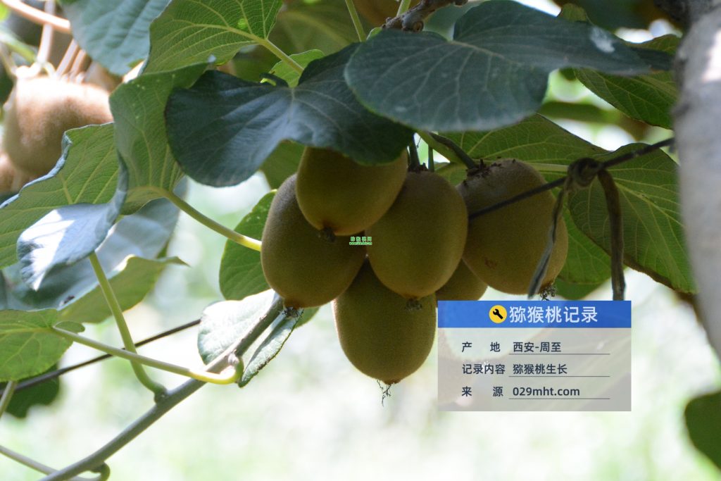 豪门国际官方网站图片