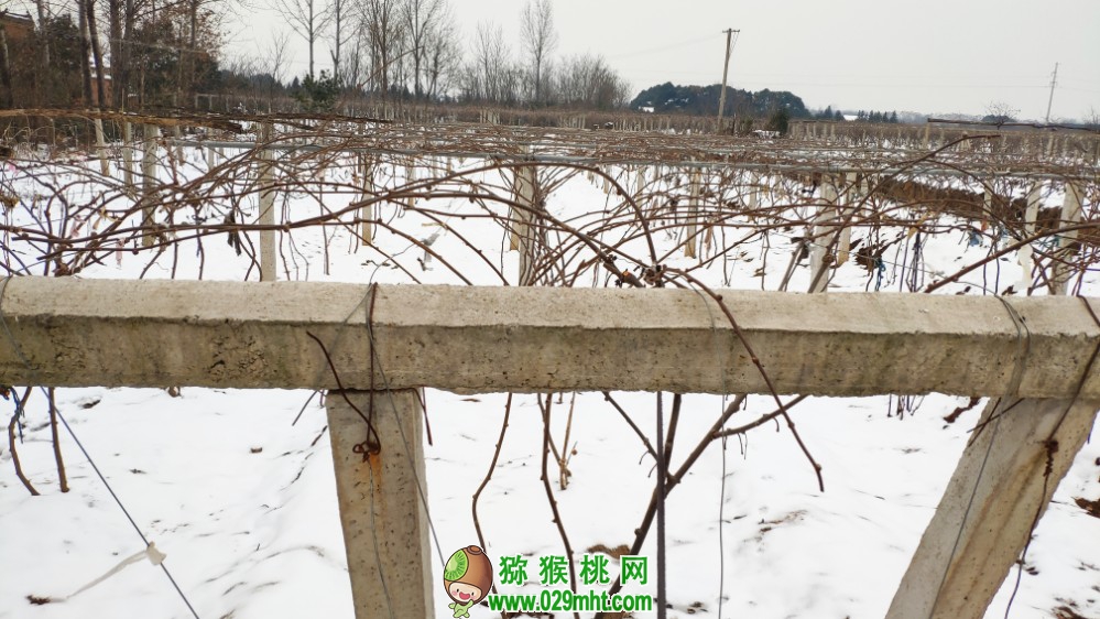 豪门国际 aaad9