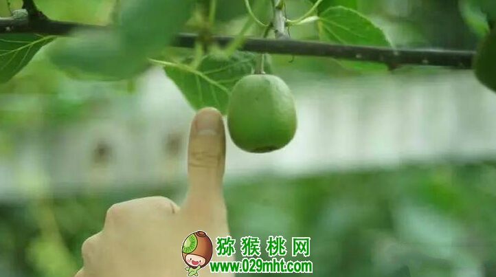 豪门国际官方网站图片