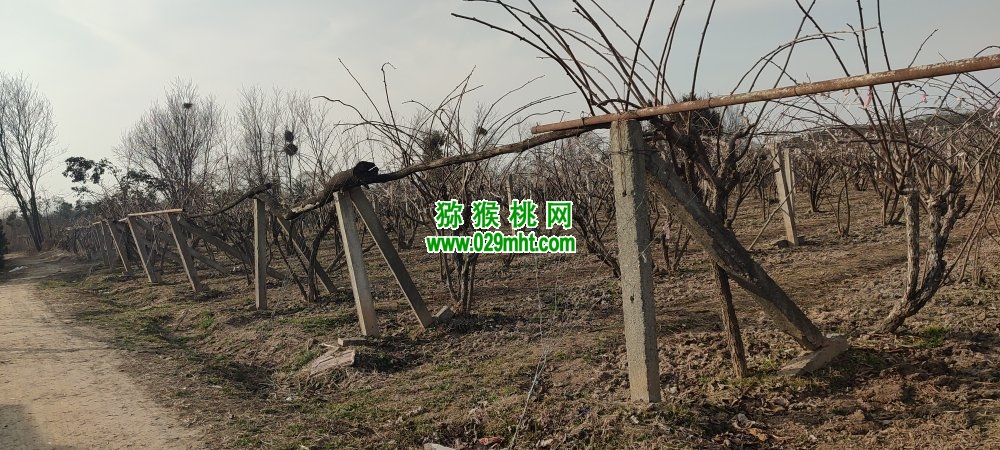 豪门国际 0feb5