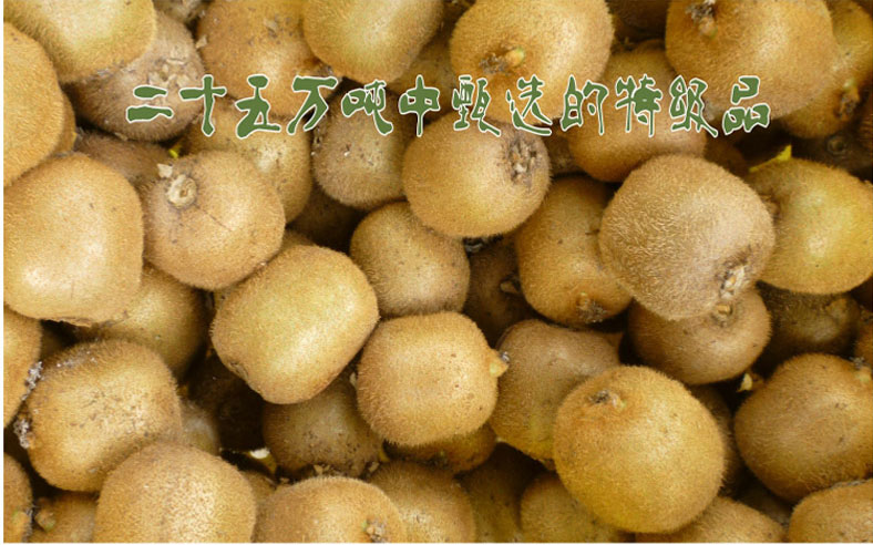 豪门国际 4b7fa