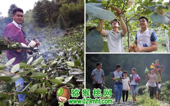 豪门国际官方网站图片