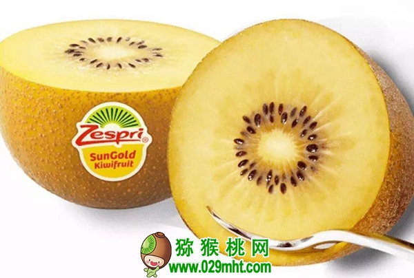豪门国际 6e162