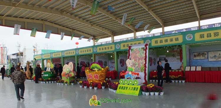 第三届中国&middot;陕西(眉县)豪门国际猕猴桃产业发展大会现场