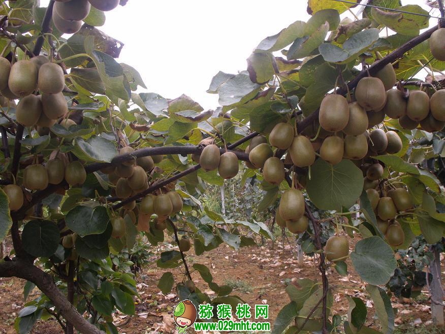 豪门国际官方网站图片