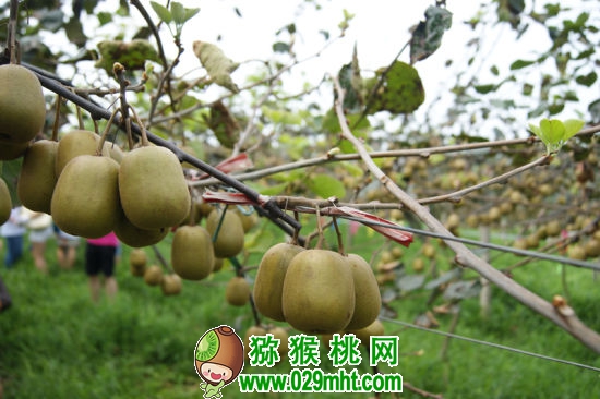 豪门国际官方网站图片