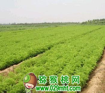 豪门国际官方网站图片