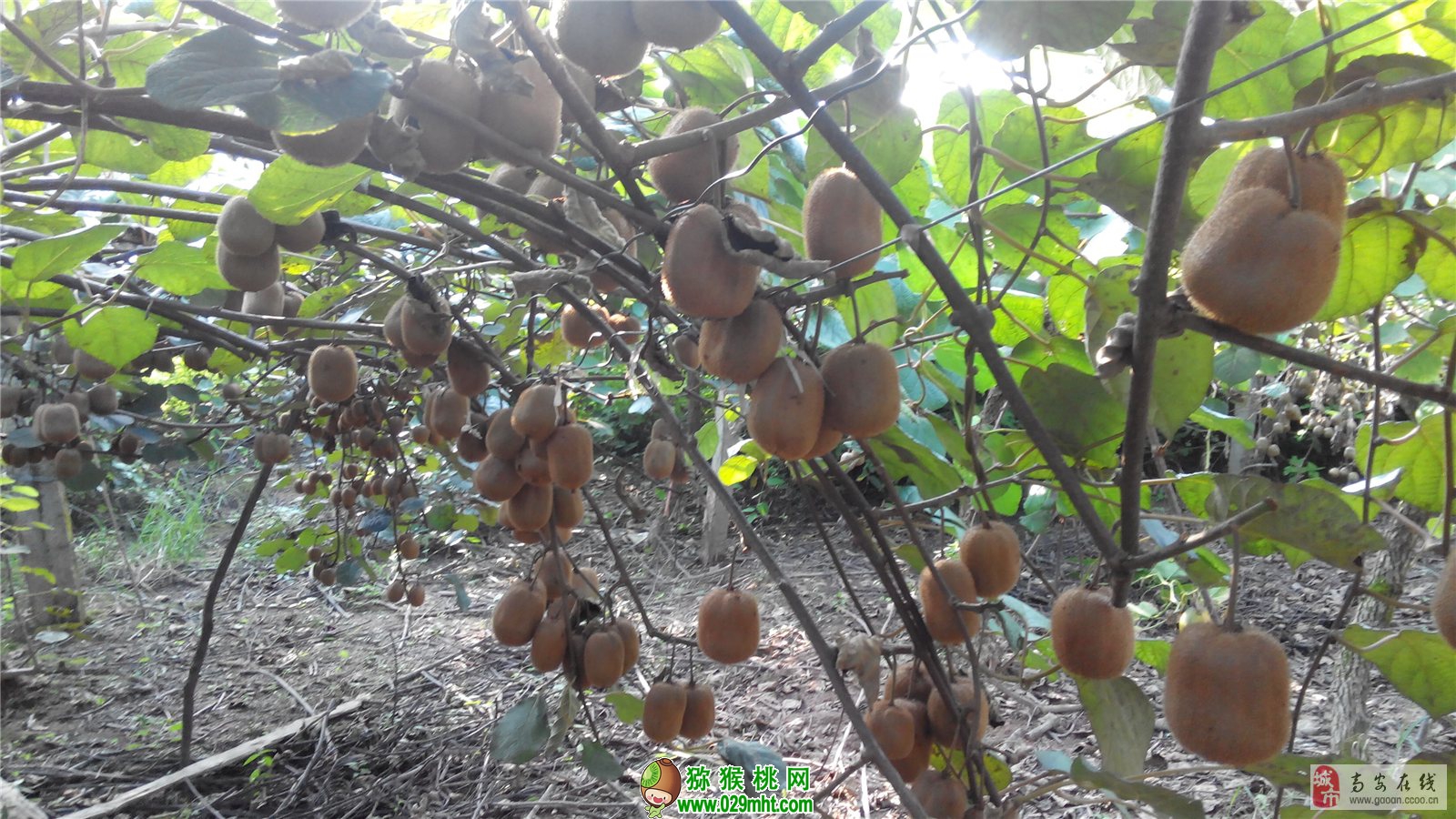 豪门国际官方网站图片
