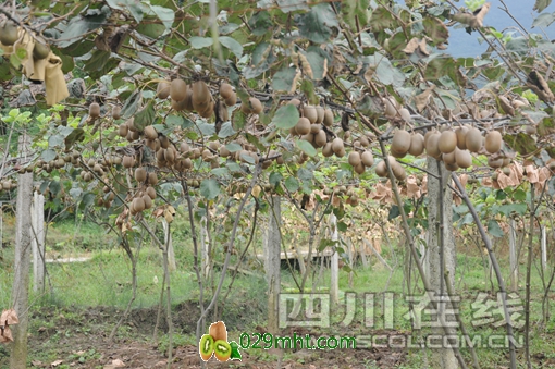 豪门国际官方网站图片