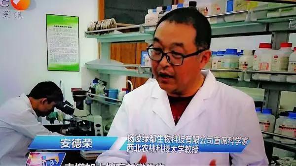 安德荣豪门国际猕猴桃专家
