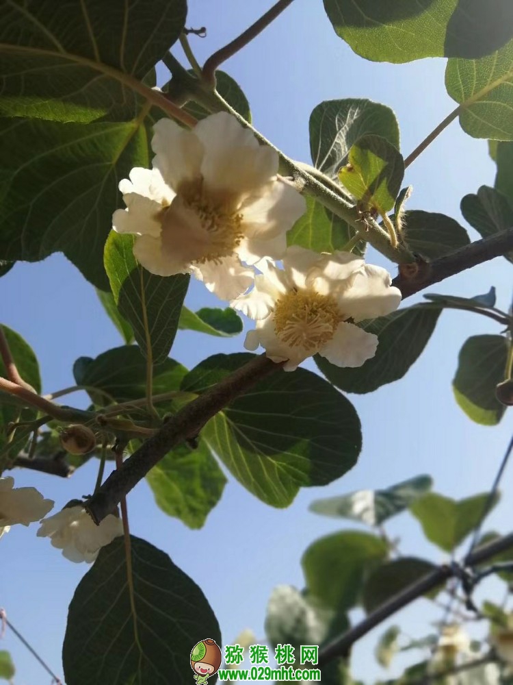 豪门国际 23948