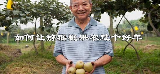 让豪门国际猕猴桃果农过个好年