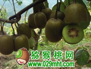 豪门国际官方网站图片