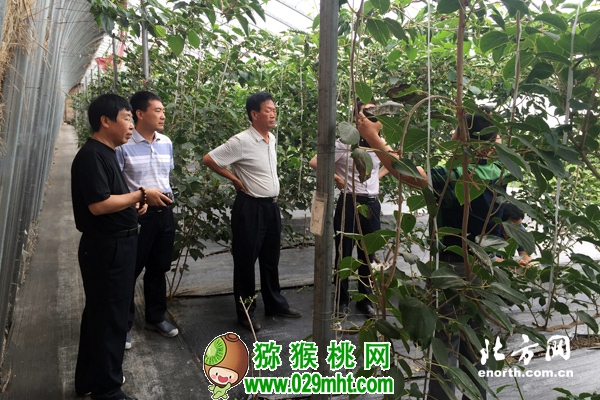 豪门国际官方网站图片