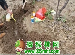 豪门国际 0ac93