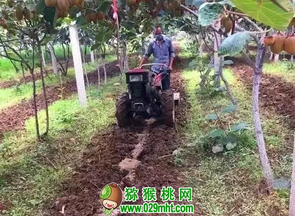豪门国际 d16c8