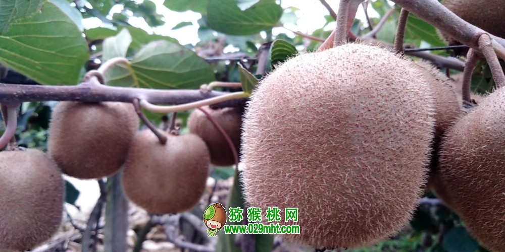 豪门国际官方网站图片