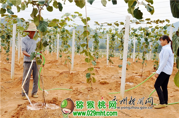 豪门国际 33d24