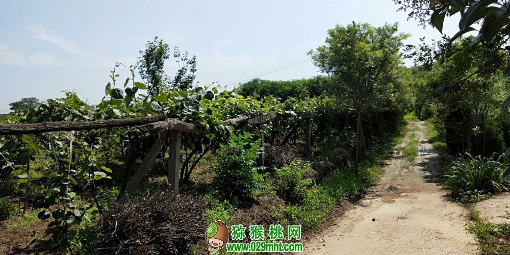 豪门国际官方网站图片