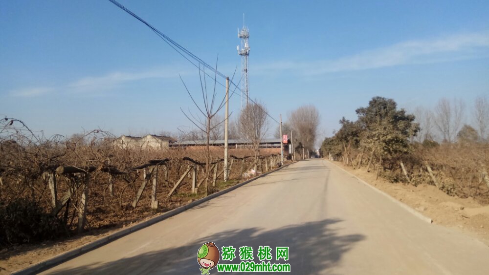 豪门国际官方网站图片