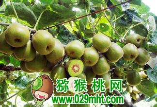 豪门国际官方网站图片
