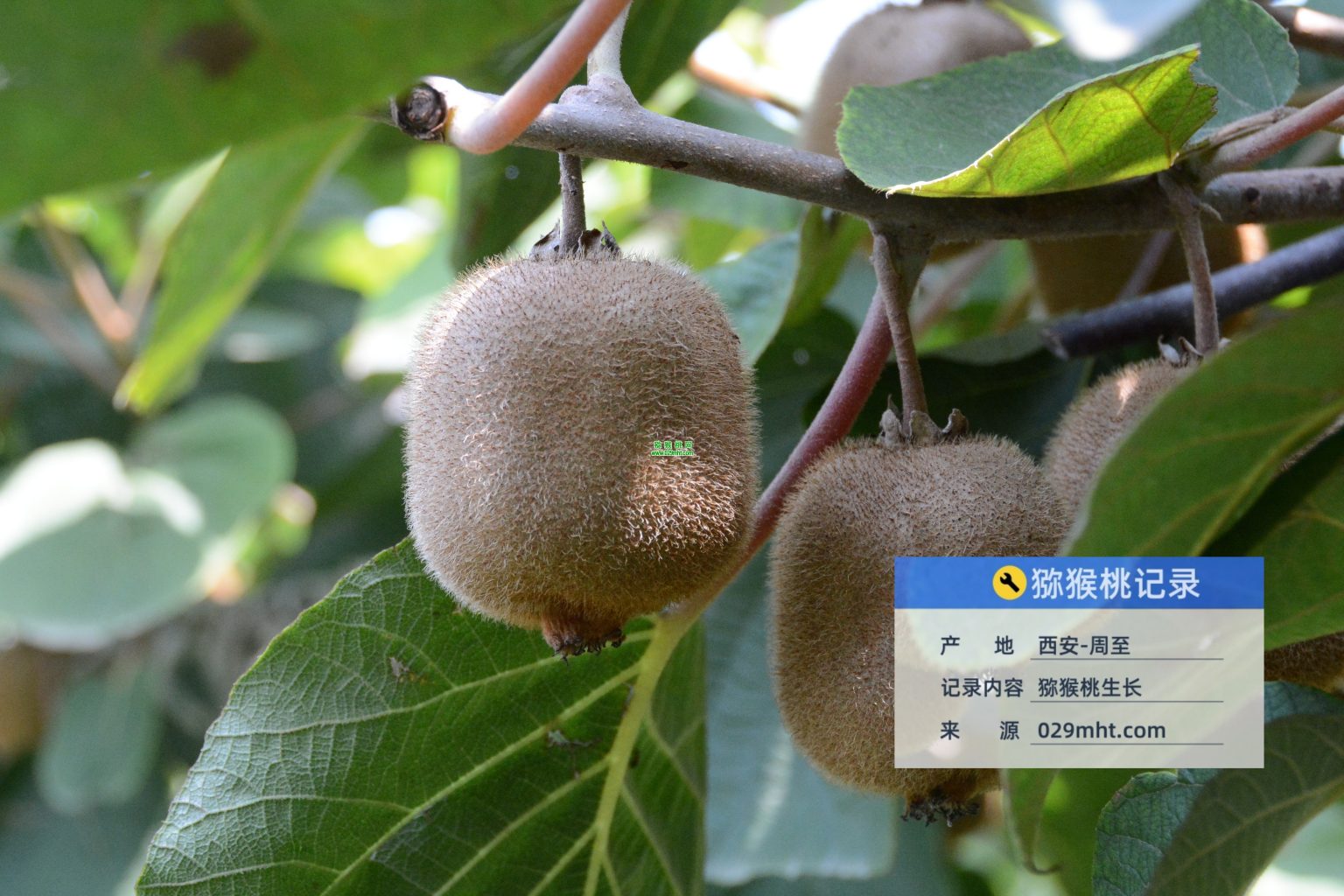 豪门国际 cb5da
