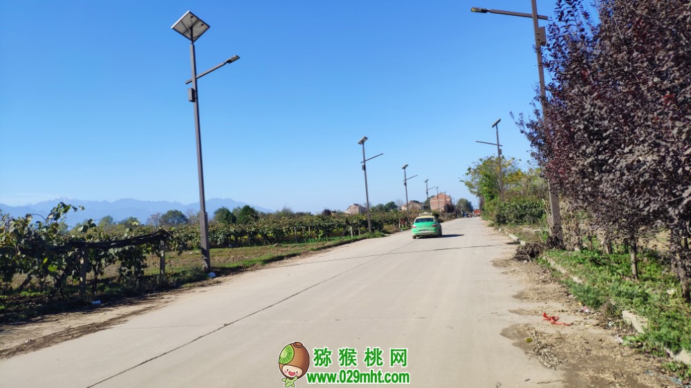 豪门国际 9a8a5