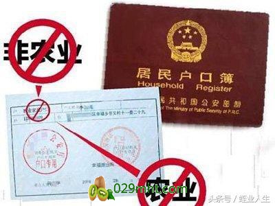 豪门国际官方网站图片