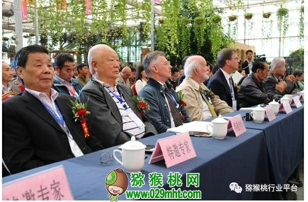 豪门国际 28719