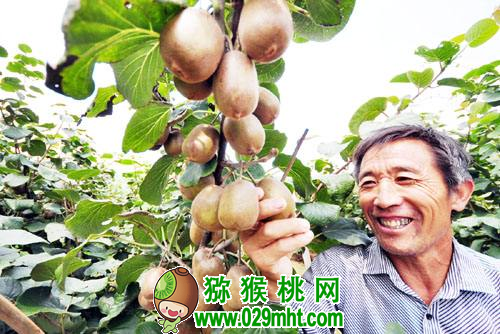 豪门国际官方网站图片