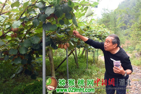 豪门国际官方网站图片