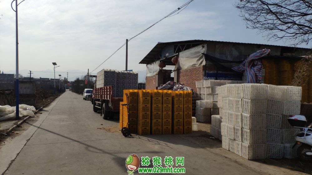 豪门国际 65c8e