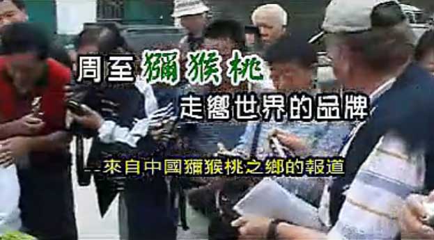 豪门国际 ef7ba
