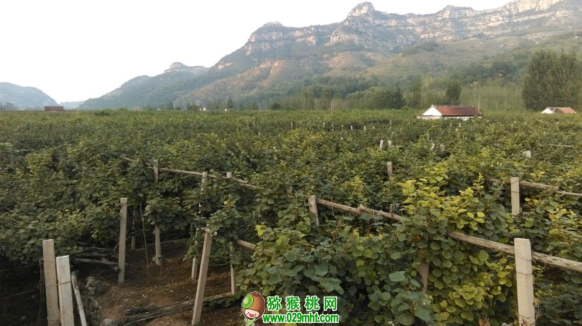 豪门国际官方网站图片