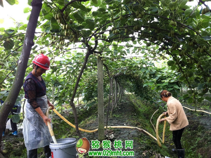豪门国际官方网站图片