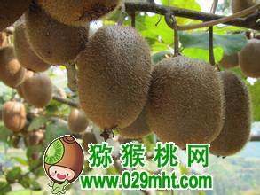 豪门国际官方网站图片