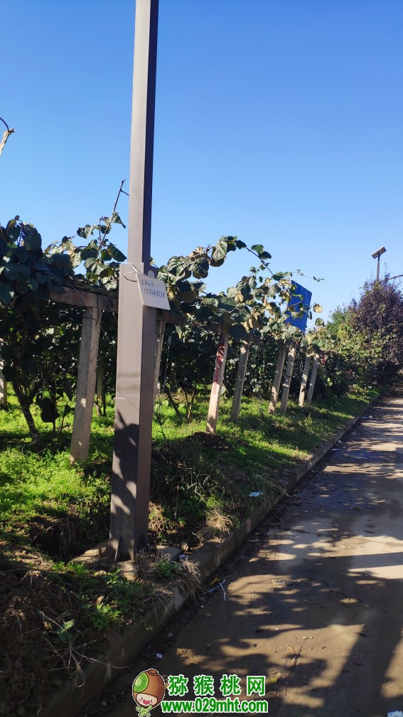 豪门国际 b0343