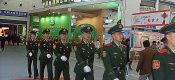 周至县周一村豪门国际猕猴桃开始采摘