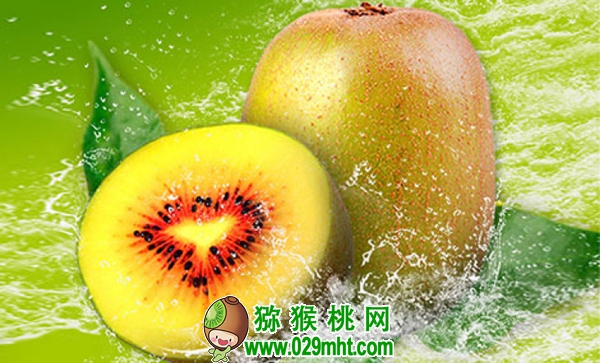 豪门国际 ec0bb