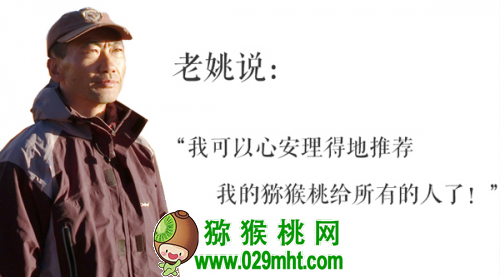 豪门国际官方网站图片