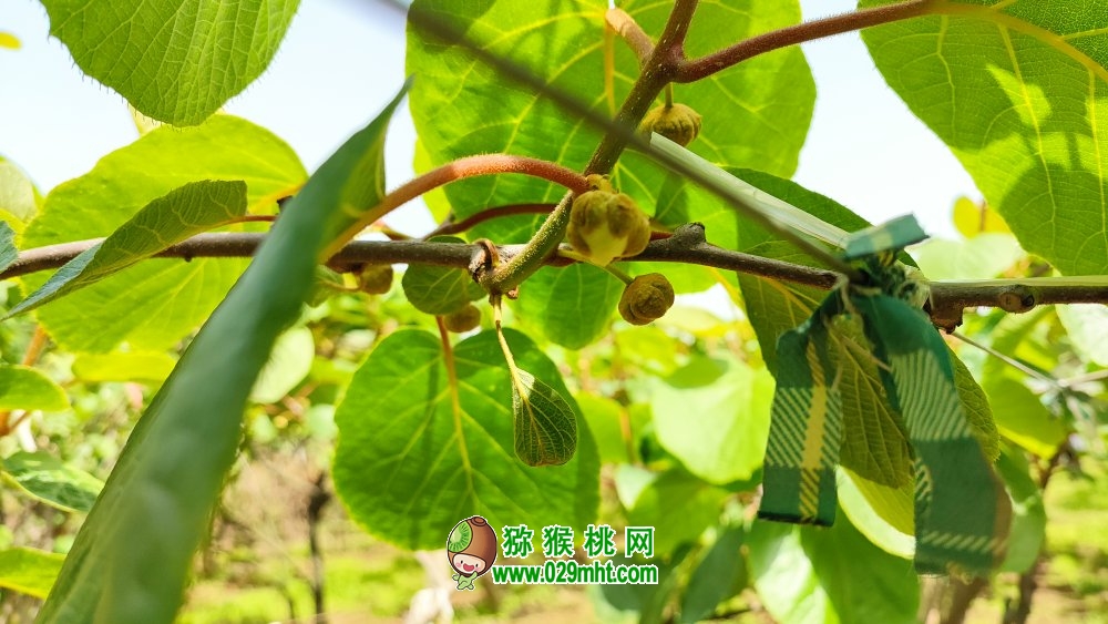 豪门国际官方网站图片