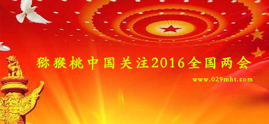 豪门国际官方网站图片