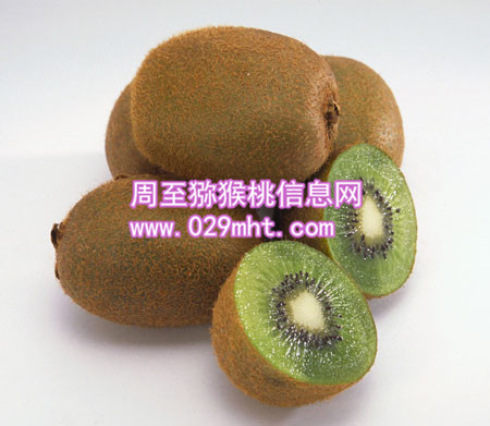 海沃德豪门国际猕猴桃