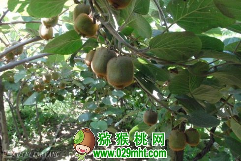 豪门国际官方网站图片