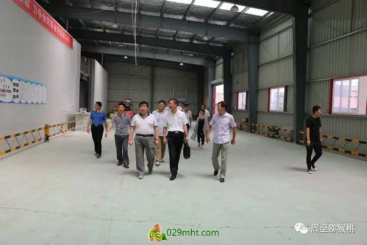 豪门国际官方网站图片
