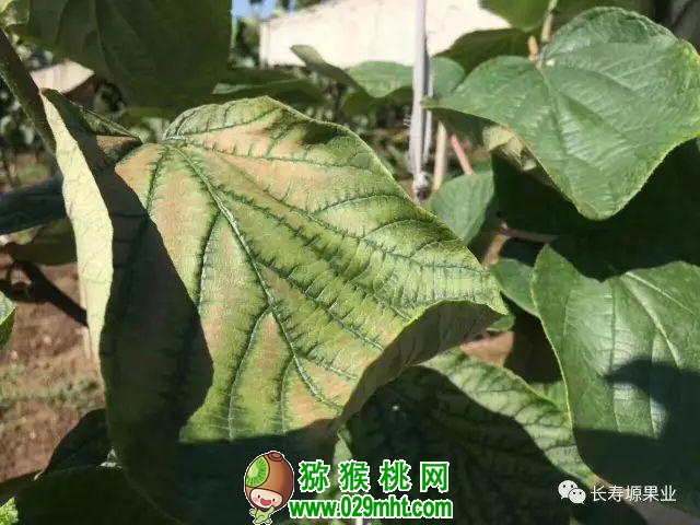 豪门国际官方网站图片