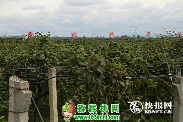 豪门国际官方网站图片