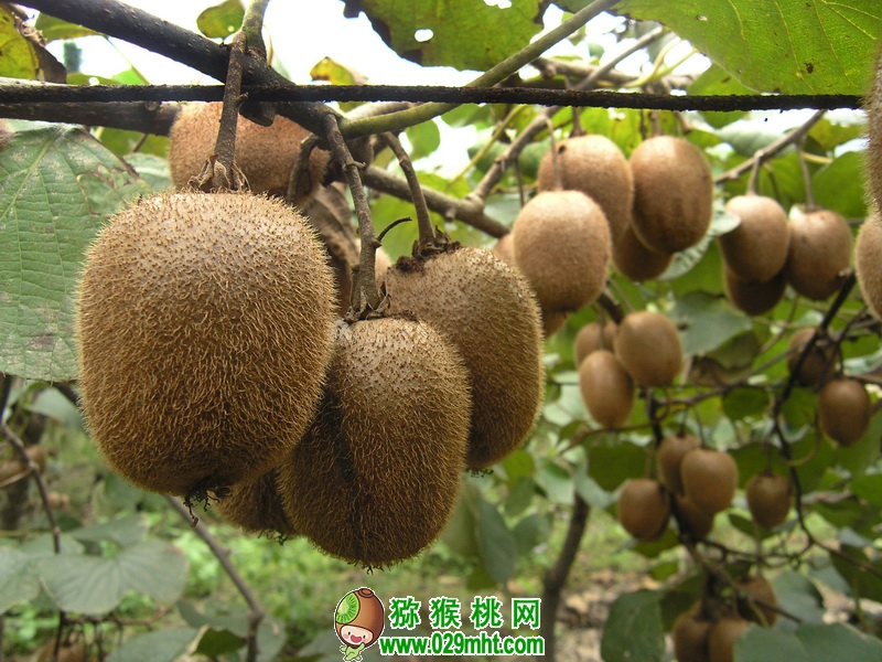 豪门国际官方网站图片